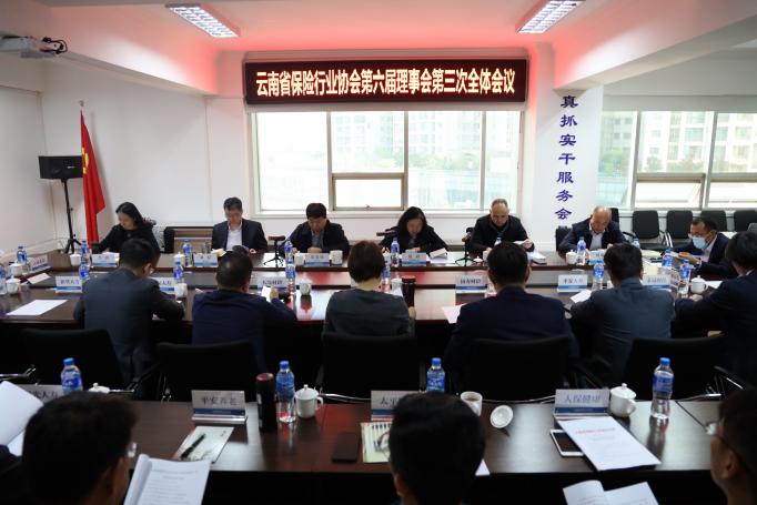 云南省保險行業協會召 開第六屆理事會第三次全體會議